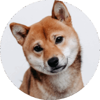 Haku Haku